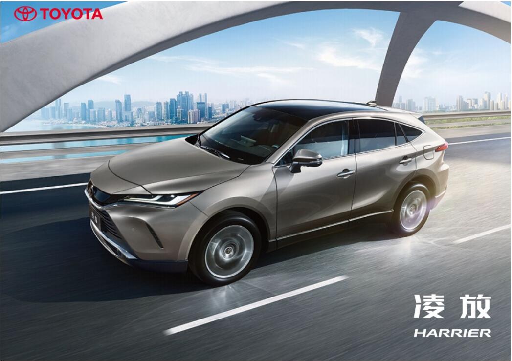 极致触感来袭,凌放演绎皮革之美